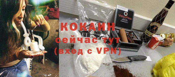 твердый Козловка