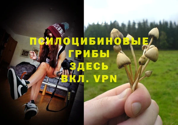 трава Козельск