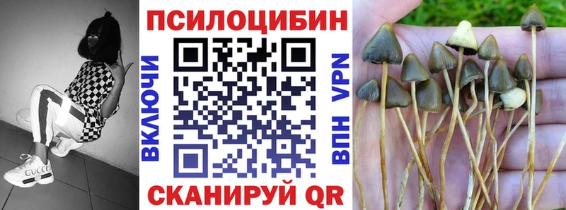 Псилоцибиновые грибы мицелий  Купить  Югорск 